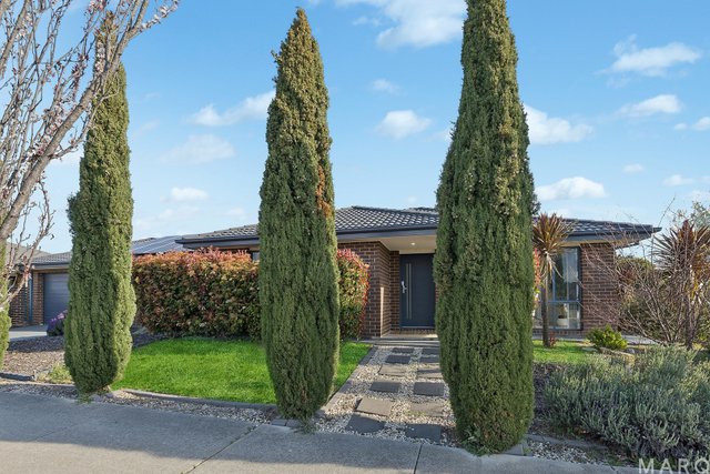 51 Burrumarra Avenue, ACT 2913