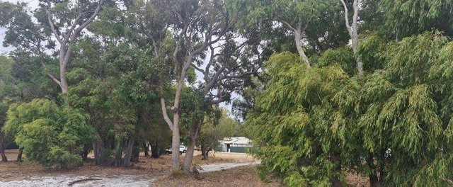 10 Latham Avenue, WA 6398
