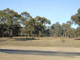 View of Street