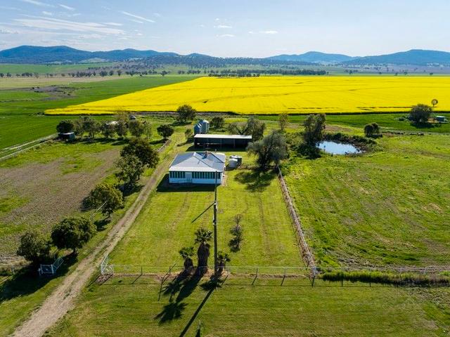 2291 Werris Creek Road, NSW 2341