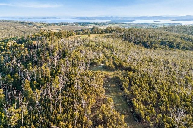 107 Inala Road, TAS 7173