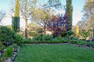 BACKYARD (2016-09-07)