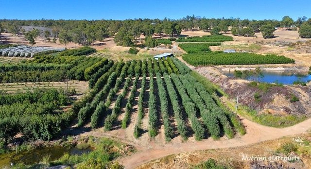 Lot 21 Brookton Highway, WA 6111