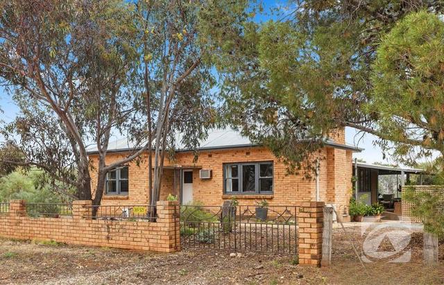 12 Hoad Road, SA 5237