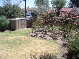 Backyard (2014-02-20)