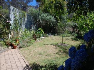 Garden (2010-04-21)
