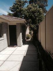 Frontyard (2014-10-26)