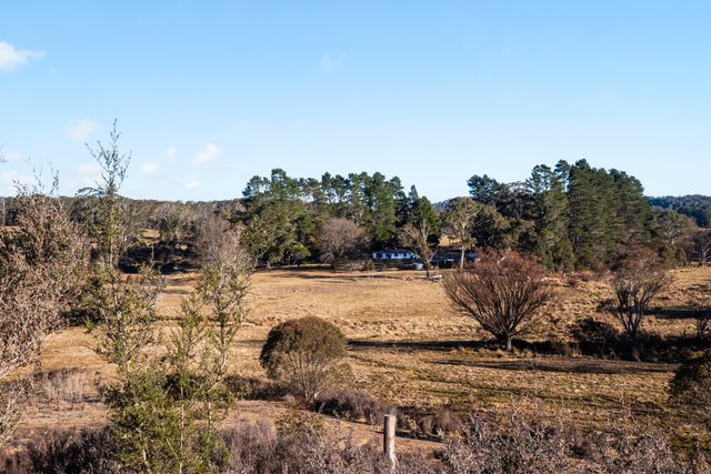 1974 Tuross Road, NSW 2631