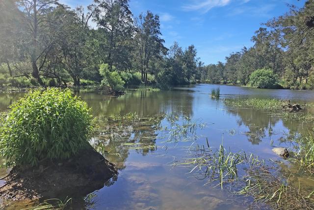 1477 Canyonleigh Road, NSW 2579