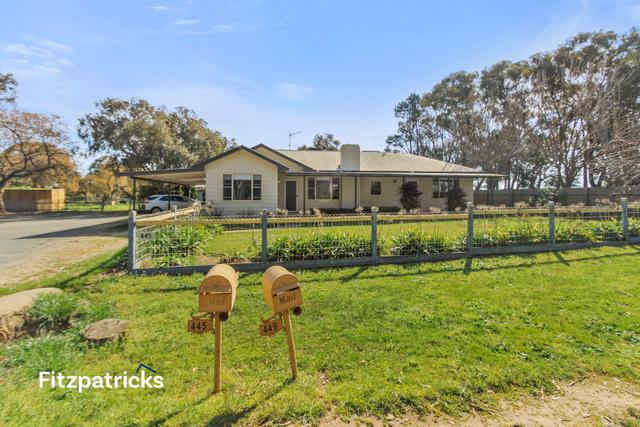 445 Pine Gully Road, NSW 2650