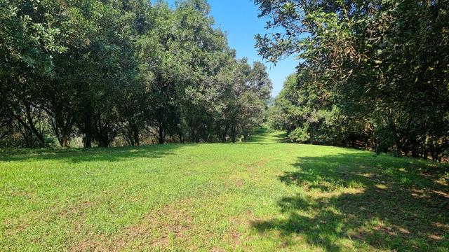 1248 Dunoon Road, NSW 2480