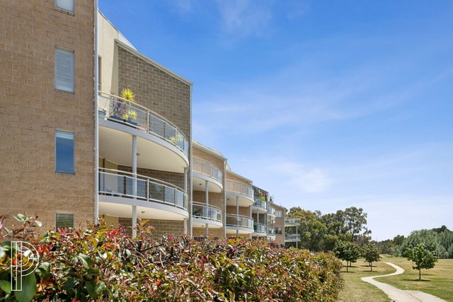 63/20 Beissel Street, ACT 2617