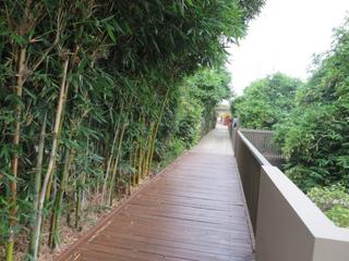 Central Garden (2015-03-18)