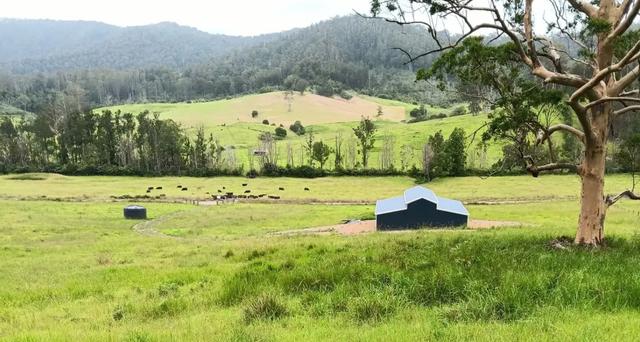 Lot 1/2667 Pappinbarra Rd, NSW 2446