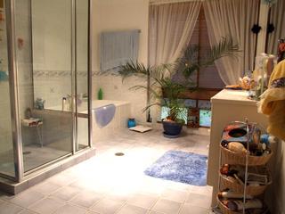Bathroom (2009-02-10)
