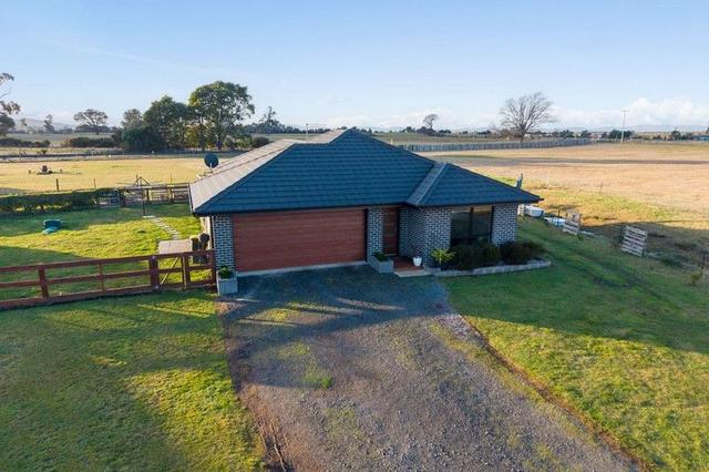 14 Webster Street, TAS 7303