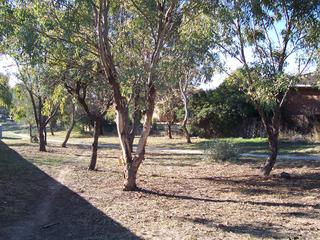 Adjacent Parkland