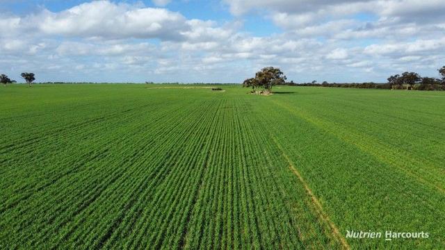 "Browns" Chandler-Merredin Road, WA 6421