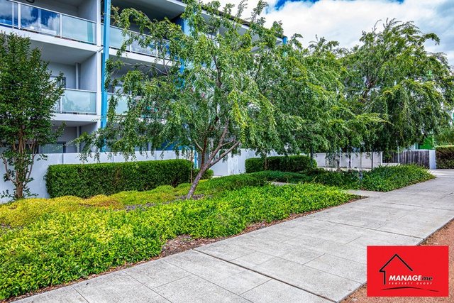 20/329 Flemington Road, ACT 2913