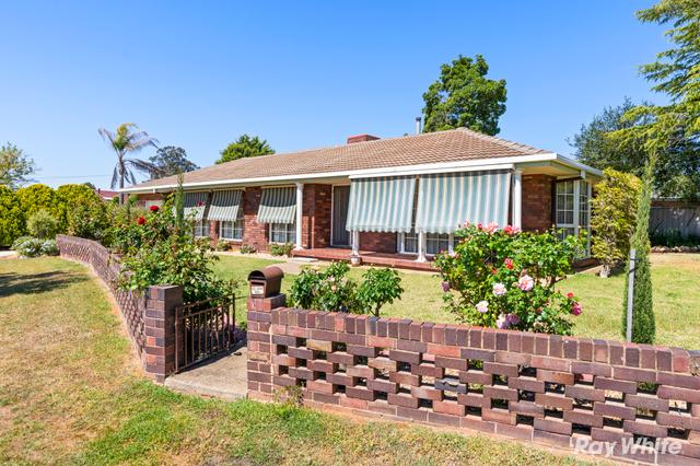 17 Nandina Avenue, NSW 2650