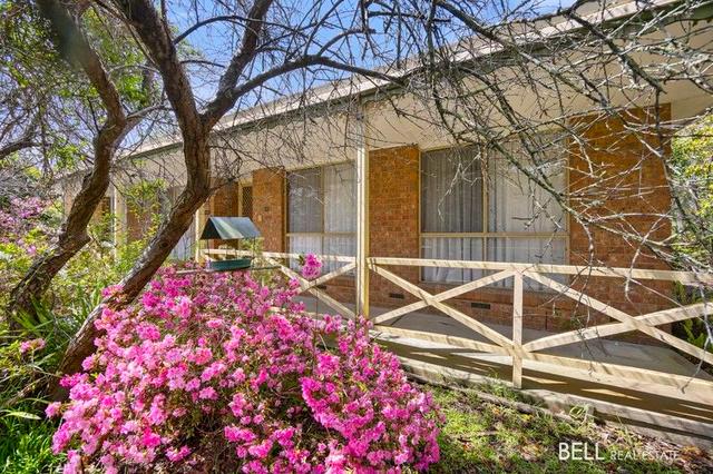 15 Henry Street, VIC 3797