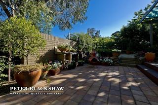 Rear garden (2012-08-15)