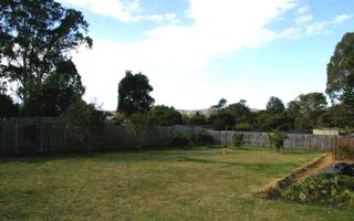 Backyard (2008-05-29)