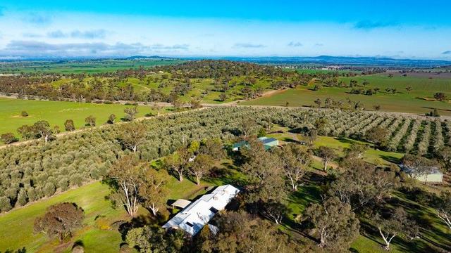 15 Mary Gilmore Road, NSW 2650