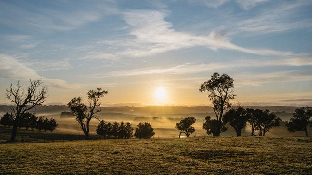Bolong Road, NSW 2580