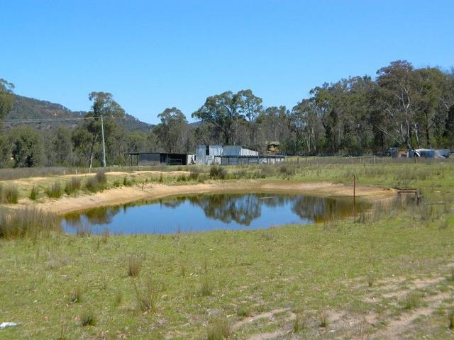 485 Reedy Creek Road, NSW 2849