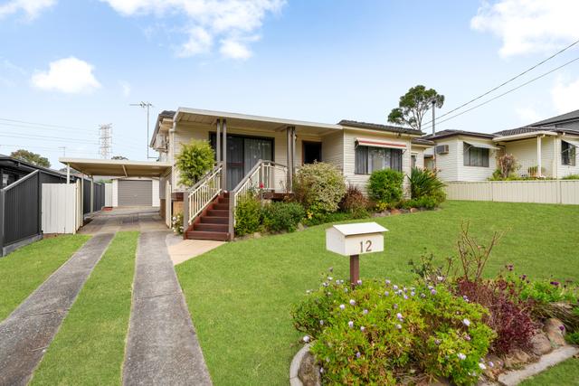12 Orinoco Close, NSW 2147