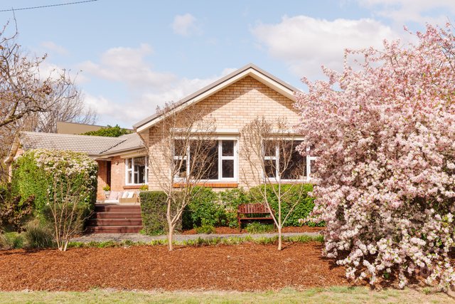 24 Cotton Street, ACT 2602