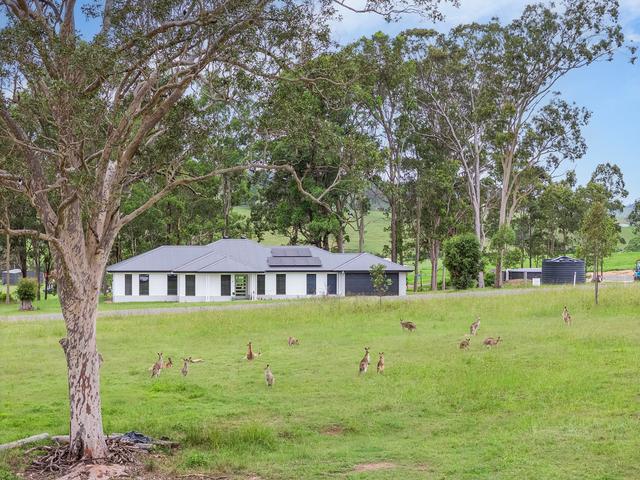 11 Burrawang Close, NSW 2311