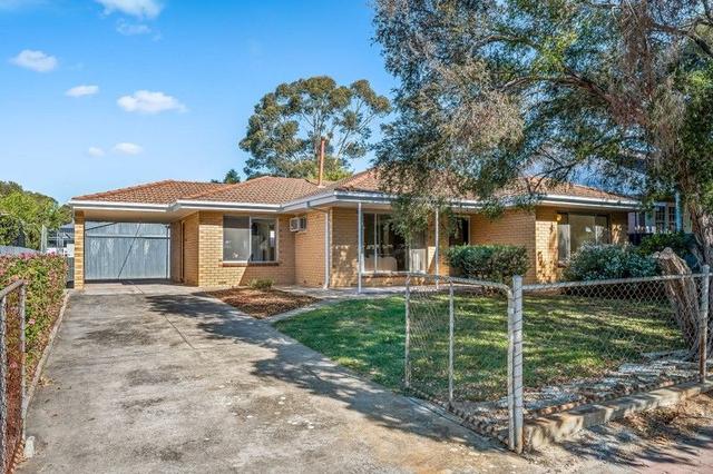35 Launceston  Avenue, SA 5091