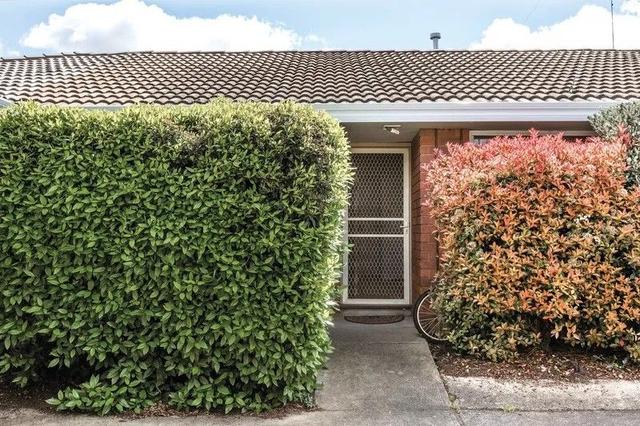 3/808 Humffray Street, VIC 3350