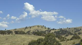 View (2005-03-24)