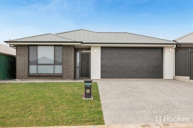 14 Terry Street, SA 5114