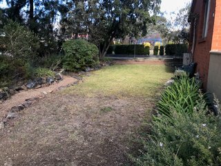 front garden