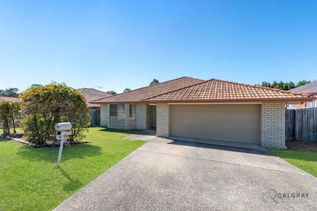 42 Bedivere Drive, QLD 4208