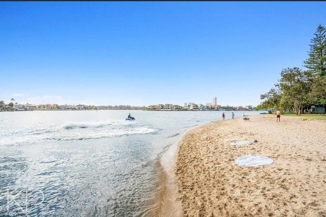 16/43 Cypress Avenue, QLD 4217