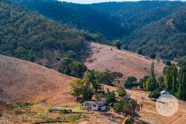 294 Stewarts Road, NSW 2650