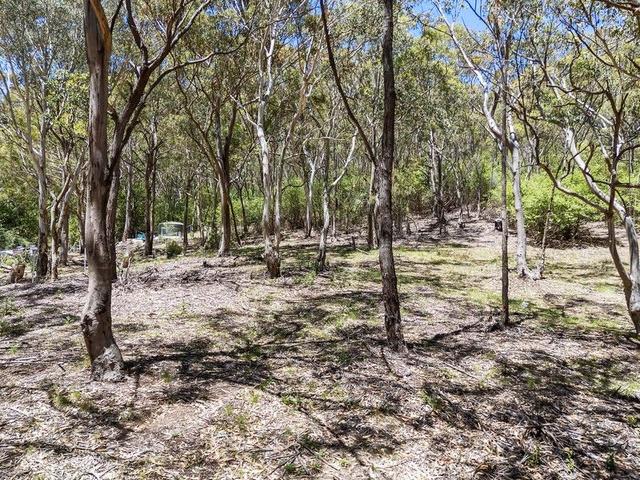 34 Mountain  Street, NSW 2848