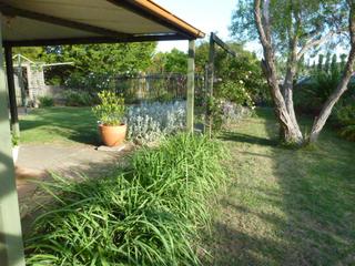 Garden from annex