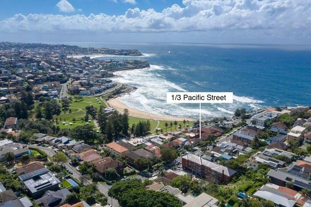 1/3 Pacific Street, NSW 2024