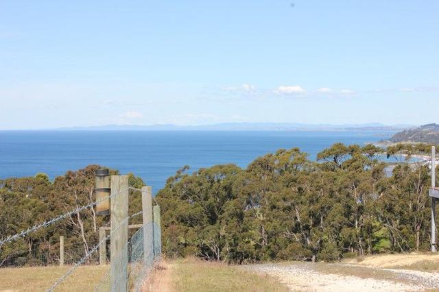 83A Allegra Drive, TAS 7316