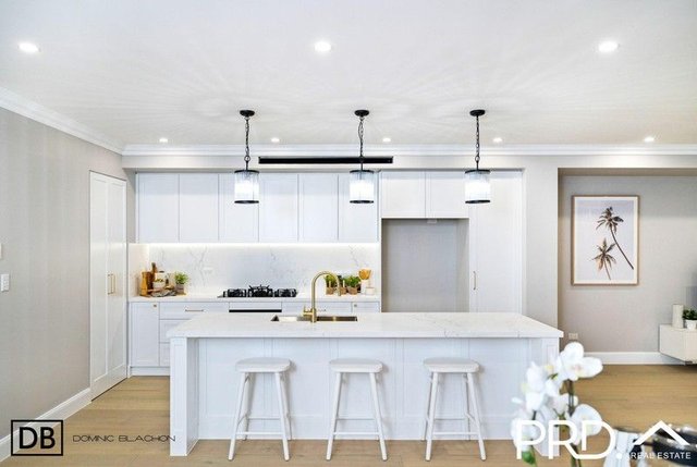 41a Monie Ave, NSW 2213