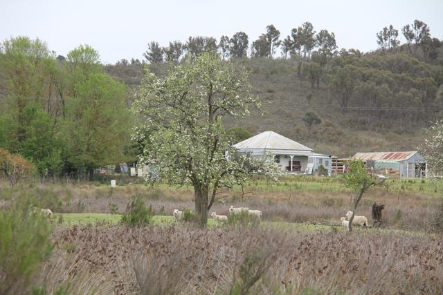 2008 Kiowarrah Road, NSW 2581