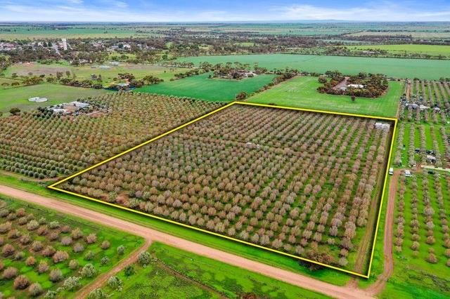 477 Freebairn Estate Road, SA 5460