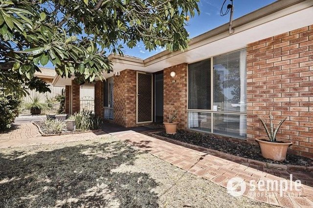 173 Yangebup Road, WA 6164