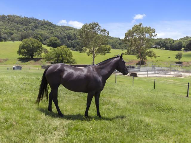32 Kellys Road, NSW 2484